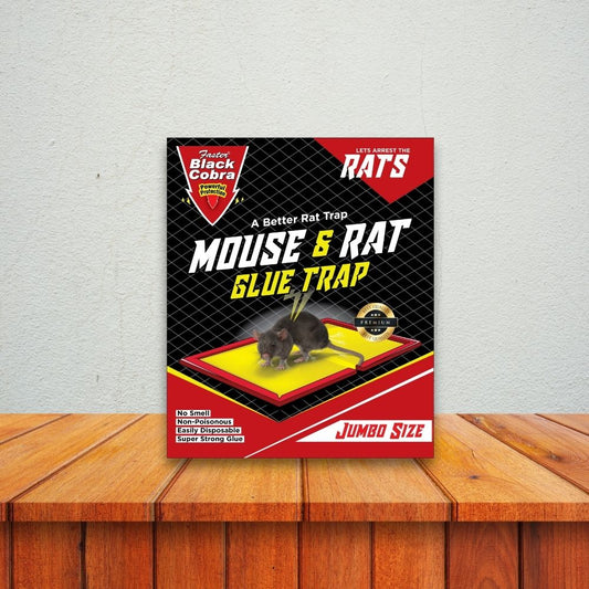 Faster Black Cobra Mouse & Rat Glue Trap - Per Card